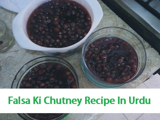 Falsa Ki Chutney Recipe In Urdu